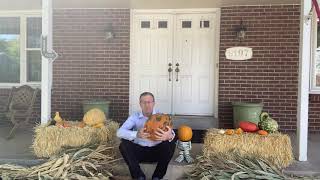 Pumpkin Patch October 10th 2020