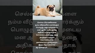 செல்ல பிராணி #shorts #pet #health  #tamil