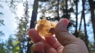 Black Elk Peak hike /  South Dakota #summit #travel #dayhike #peak