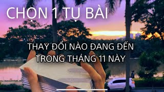 🔜🆘THAY ĐỔI NÀO ĐANG ĐẾN TRONG THÁNG 11, NÀY ! 🌈Kitoàn Tarot Channel