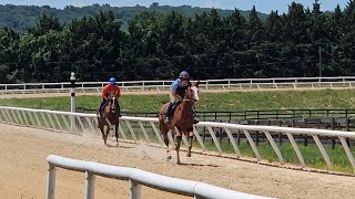 Amadeus Music and Crucial Secret galloping on 7/11.