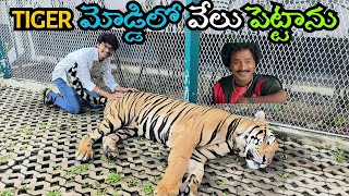 Tiger Park Pattaya In Telugu | Thailand vlogs in telugu