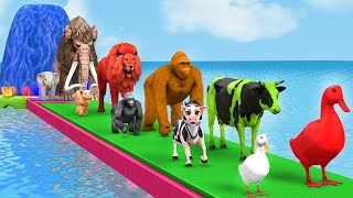 Paint Animals Duck Cartoon, Cow, Giraffe, Elephant, Lion, Wild Animals Crossing Fountain Animation