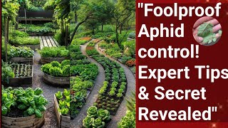 Foolproof Aphide control and preventtion /Aphid control