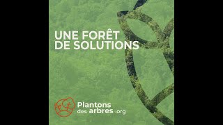 Plantons des arbres, Une forêt de solutions