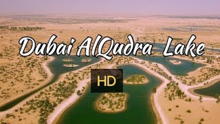 Driving Inside Al Qudra Dubai || Love Lake || Flamingo Lake