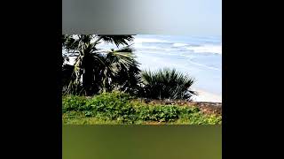 NITK beach view from sadhashiva temple #nitk  #nitkbeach #surathkal #beach #shorts #prayogasootra