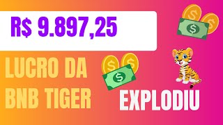 Como ganhar muito dinheiro em Hold com pouco dinheiro. na moeda BNB TIGER #bnbtiger