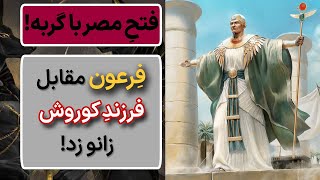 نبرد پلوزیوم و انتقام کمبوجیه از مصریان باستان! فتحِ مصر کبیر توسط کمبوجیه دوم