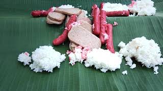 FISHING | BOODLE FIGHT