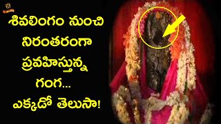 Tirumakudal Narsipura Shree Agastheswara Temple History | LR Media