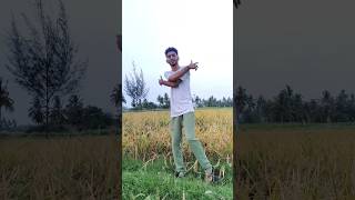 😊 Indha vayakattu mathiyaila.🌾❣️              #trending #osakka #trending tamilsongs  #native #like