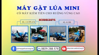 Máy gặt lúa mini GangYi 4L-0.9B , Máy gặt lúa mini, máy gặt mini 10/2021. LH: 0829288578 có Zalo