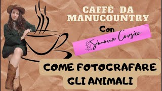 Come Fotografare gli Animali