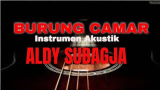 instrumen gitar akustik || "Burung camar"