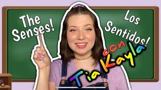 The Senses | Los Sentidos | Baby Toddler learning| Spanish English Song