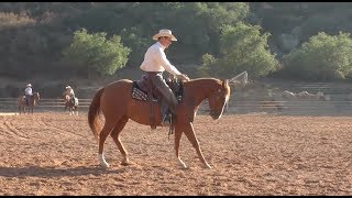 Equestrian Masterclass Learn Horsemanship w Richard Winters on Body Control