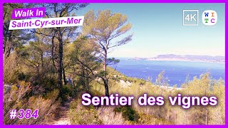 Vine trail, Saint-Cyr-sur-Mer, France | Walk In Saint-Cyr-sur-Mer