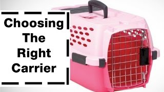 Valerie's Zoo Archives *Travel Carriers For Your Guinea Pigs