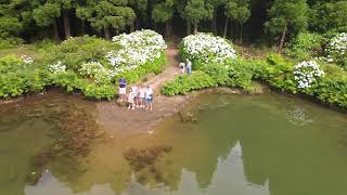 Lagoa do Canário e Lagoa das Furnas