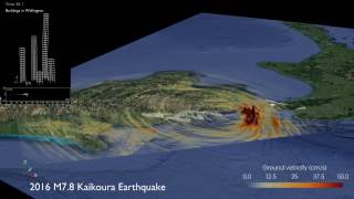 2016 Mw7.8 Kaikoura earthquake simulation and response of buildings in Wellington