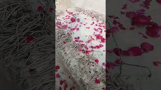 insan ki Haqeeqat||Graveyard short||Islamic Shorts||Real Poetry||