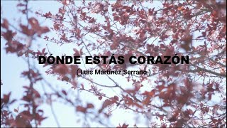 DÓNDE ESTÁS CORAZÓN - Coral Rondalla Salvador Allende - Navidad 2019