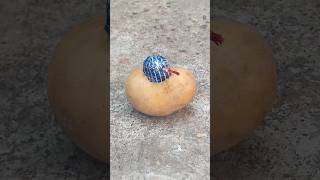 Bomb In The Potato Experiment 😱 #shorts #ytshorts #viral