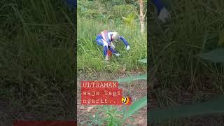 PAIT MASZEHHH.. #ultraman #ngarit #trending #viral #fyp #viral