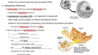 Science 7 - Unit 6 - Eukaryotic Cells - pg. 6-1 & 6-2