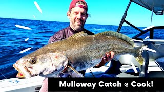 Catch And Cook | Mulloway Fishing Ballina | Pickled Fish Recipe!