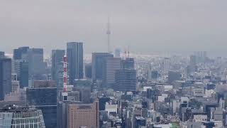 TOKYO, VIEW FROM TOKYO TOWER, MARCH 2024