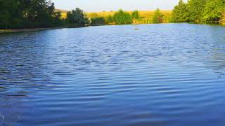 This Lake Sounds So Relaxing... JUST LISTEN TO IT FOR 5 MINUTES!