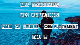 MES TECHNIQUES et ANIMATIONS pour ce LEURRE COMPLÈTEMENT FOU !!!