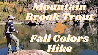 Epic Trout Fishing & Fall Hike | Lake Blanche Trail, Wasatch Mountains, Utah