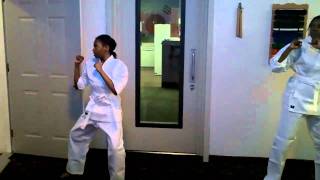 STAND Self Defense White Belt Basics