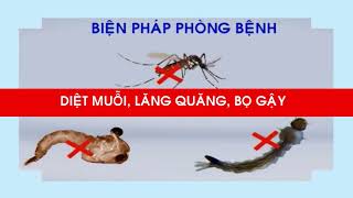 Vệ sinh môi trường phòng bệnh Sốt xuất huyết