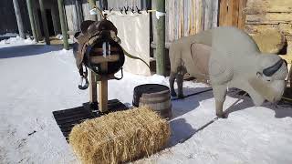 Festival du Voyaguer 2023 archery demo Set up . "horse" and buffalo target .