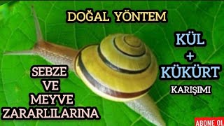 Kül ve kükürtle salyangoz, kabuklu böcekler ve yaprak yiyen böceklere doğa ilaç...