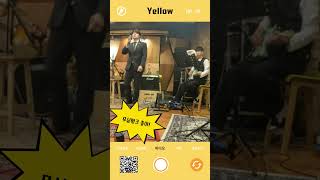 Yellow #shotrs #yellow #무심펑크 #musicband #rock #rockstar #pop punk