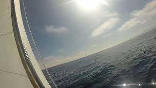 Cape Dory 22D First Passage to Catalina Island