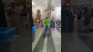 المسجد النبوي الشريف /رحلة العمره/ Umrah Trip Saudi Arabia