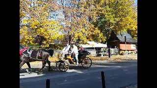 Góralskie wesele na Podhalu Zakopane