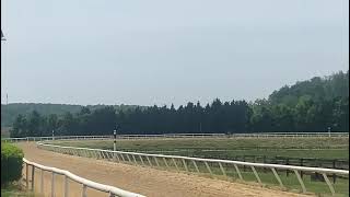 Lexington Moon breezes a solo 1/4 w/ Sun in My Heart and Stroopwafel galloping behind on 5/3.