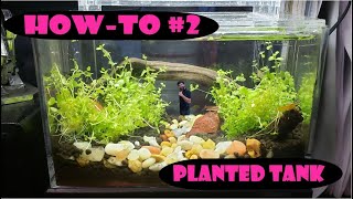 How-to Setup A Planted Aquarium (Beginner Guide)