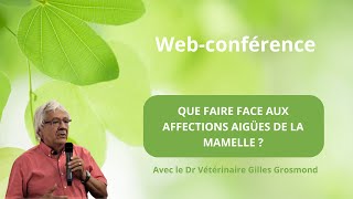 Web-Conférence : Que faire face aux affections aigües de la mamelle ?