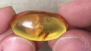 Amber 8 ct