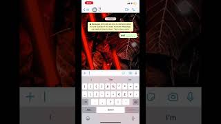 Hidden WhatsApp features that are useful