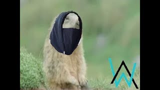 when you see Alan Walker at the gig (Remix)