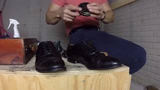 ASMR ALDEN 901  PERFORATED STRAIGHT TIP Shoe Shine